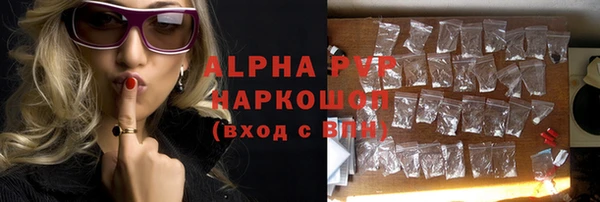 индика Баксан