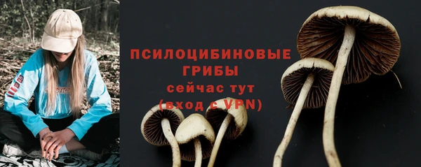 гидропоника Балабаново