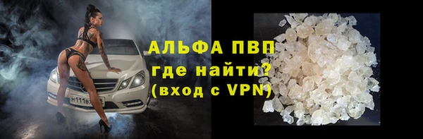 индика Баксан