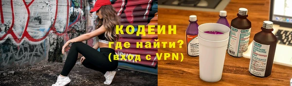 индика Баксан
